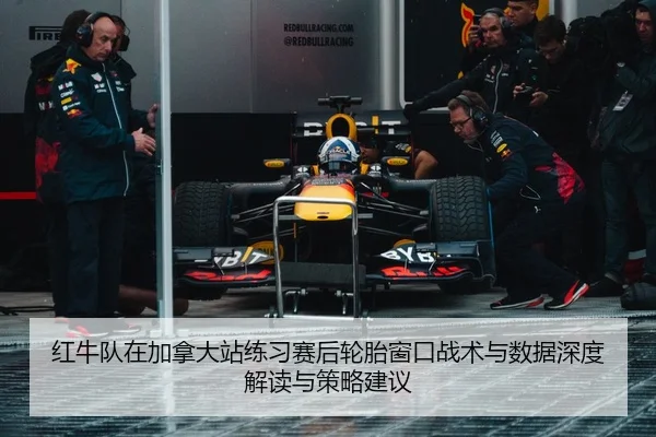 红牛队在加拿大站练习赛后轮胎窗口战术与数据深度解读与策略建议