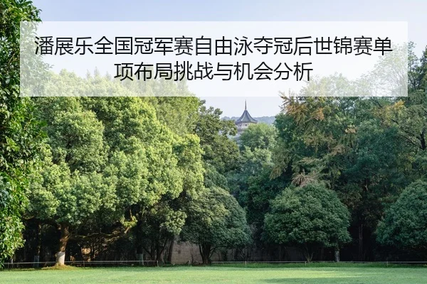 pan-zhan-le-quan-guo-guan-jun-sai-zi-you-yong-duo-guan-hou-shi-jin-sai-dan-xiang-bu-ju-tiao-zhan-yu-ji-hui-fen-xi-2-623.jpg